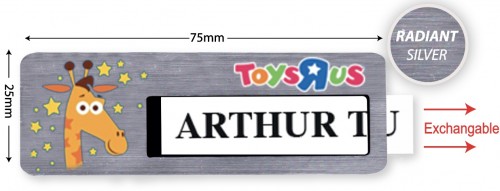 Silver Reusable Name Tag - Model 8-11